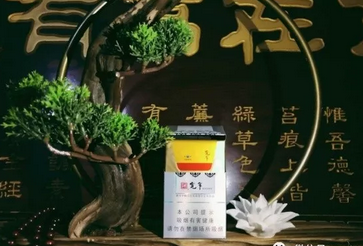 焦点关注！云霄香烟官网APP网上订货“左思右想”-云霄香烟百度贴吧